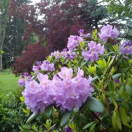 Miodowy Dwór Gospodarstwo agroturystyczne