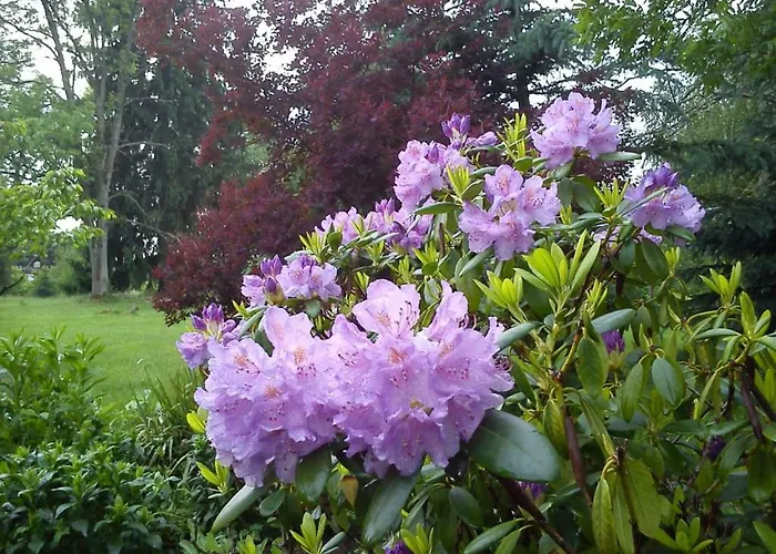 Miodowy Dwór Gospodarstwo agroturystyczne