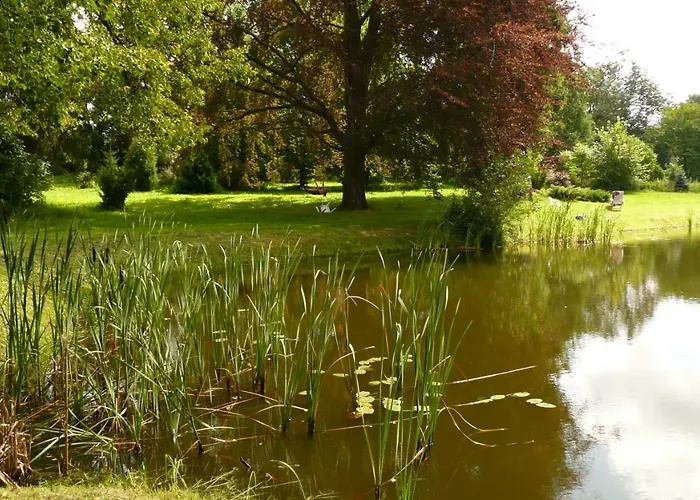 Miodowy Dwór * Rusinowo (Swidwin)